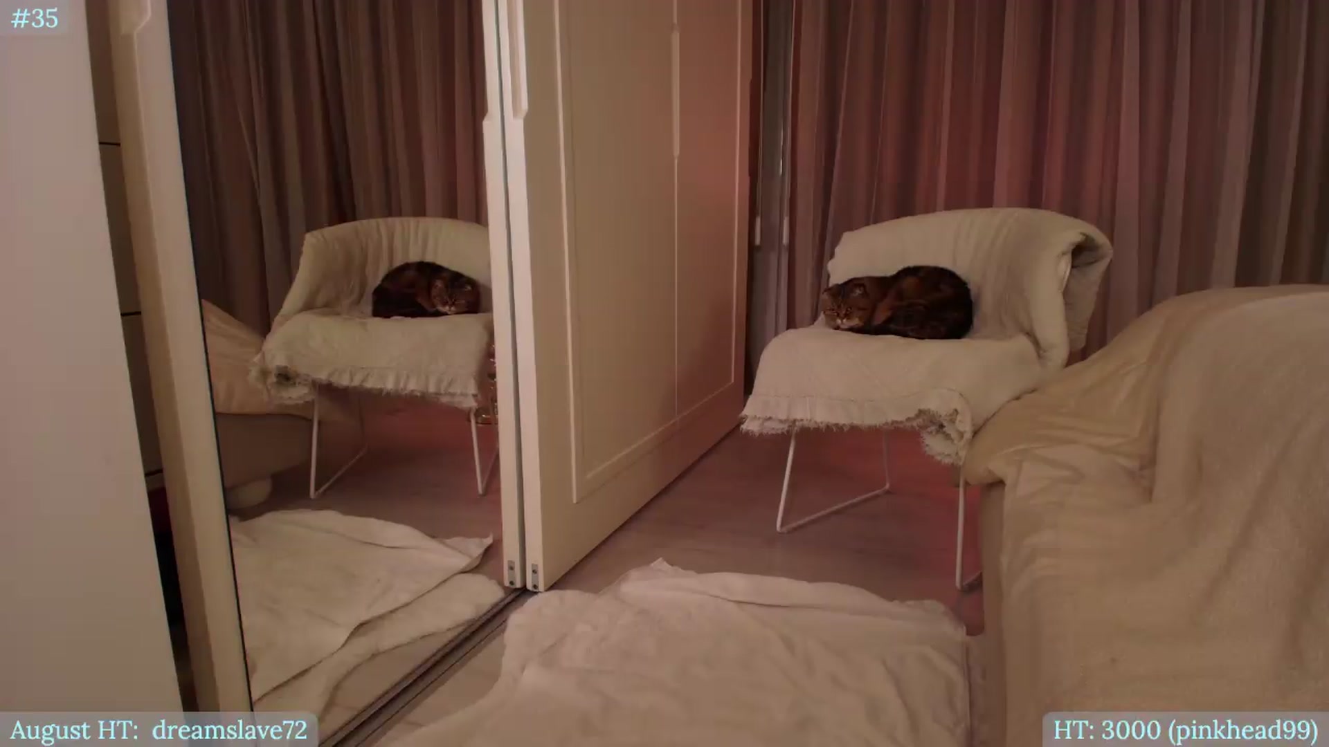 Gallery image thumbnail from Muse_'s myfreecams stream on, 08/06/2026, 23:07 image 9 of 20