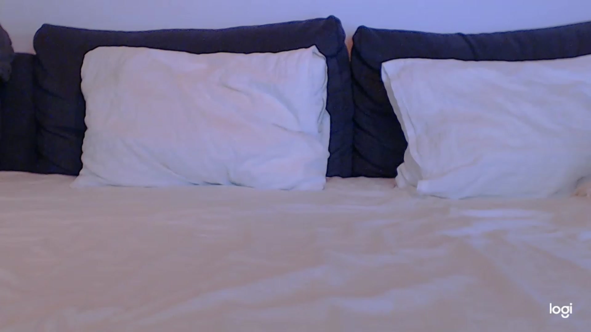 Gallery image thumbnail from MyAssRocks's myfreecams stream on, 07/31/2023, 21:14 image 4 of 20
