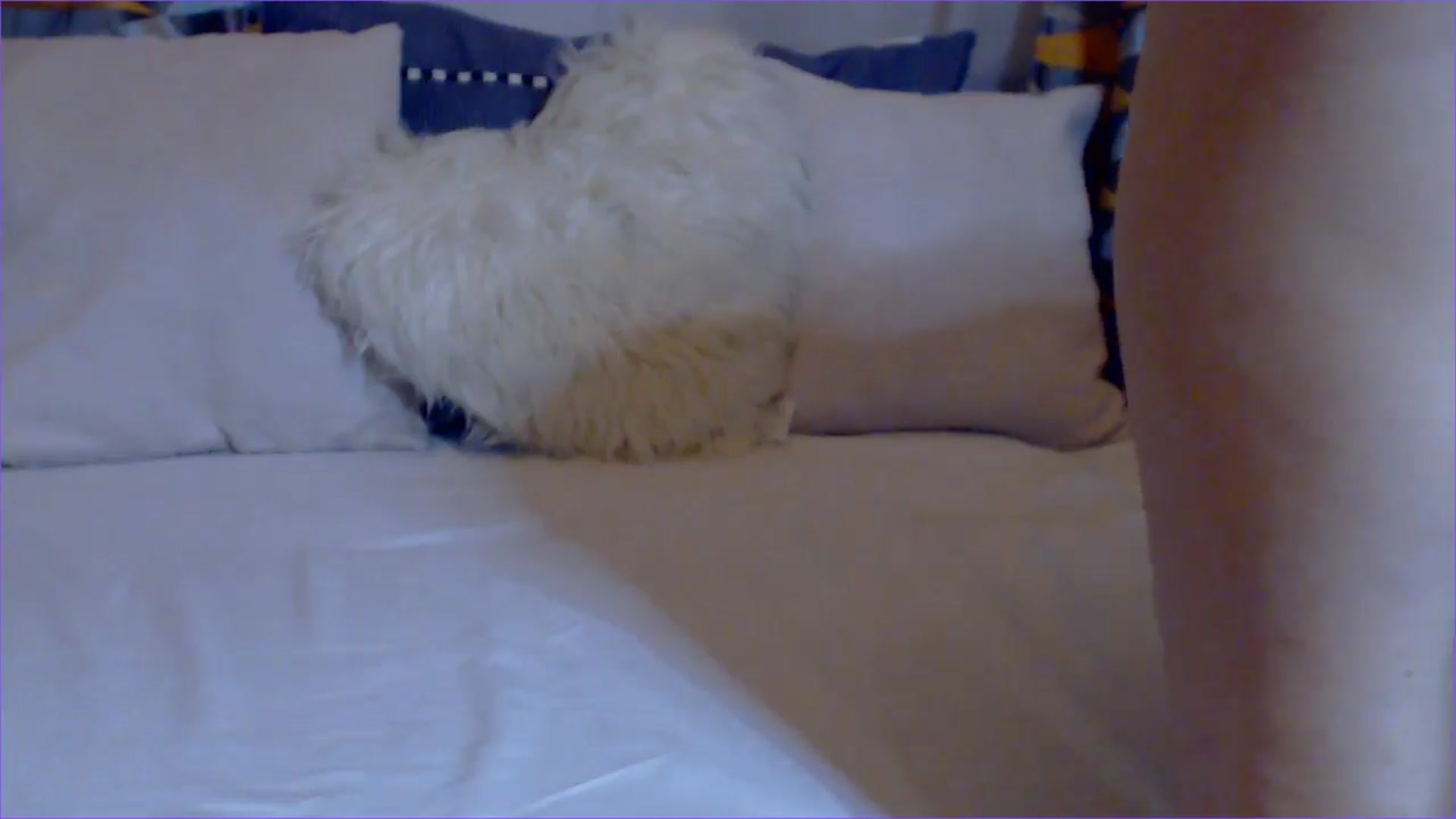 Gallery image thumbnail from MyAssRocks's myfreecams stream on, 07/08/2024, 21:05 image 11 of 20