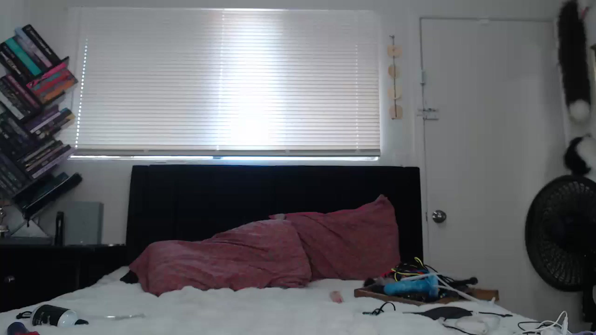 Gallery image thumbnail from MyMazikeen's myfreecams stream on, 05/28/2025, 01:19 image 12 of 20