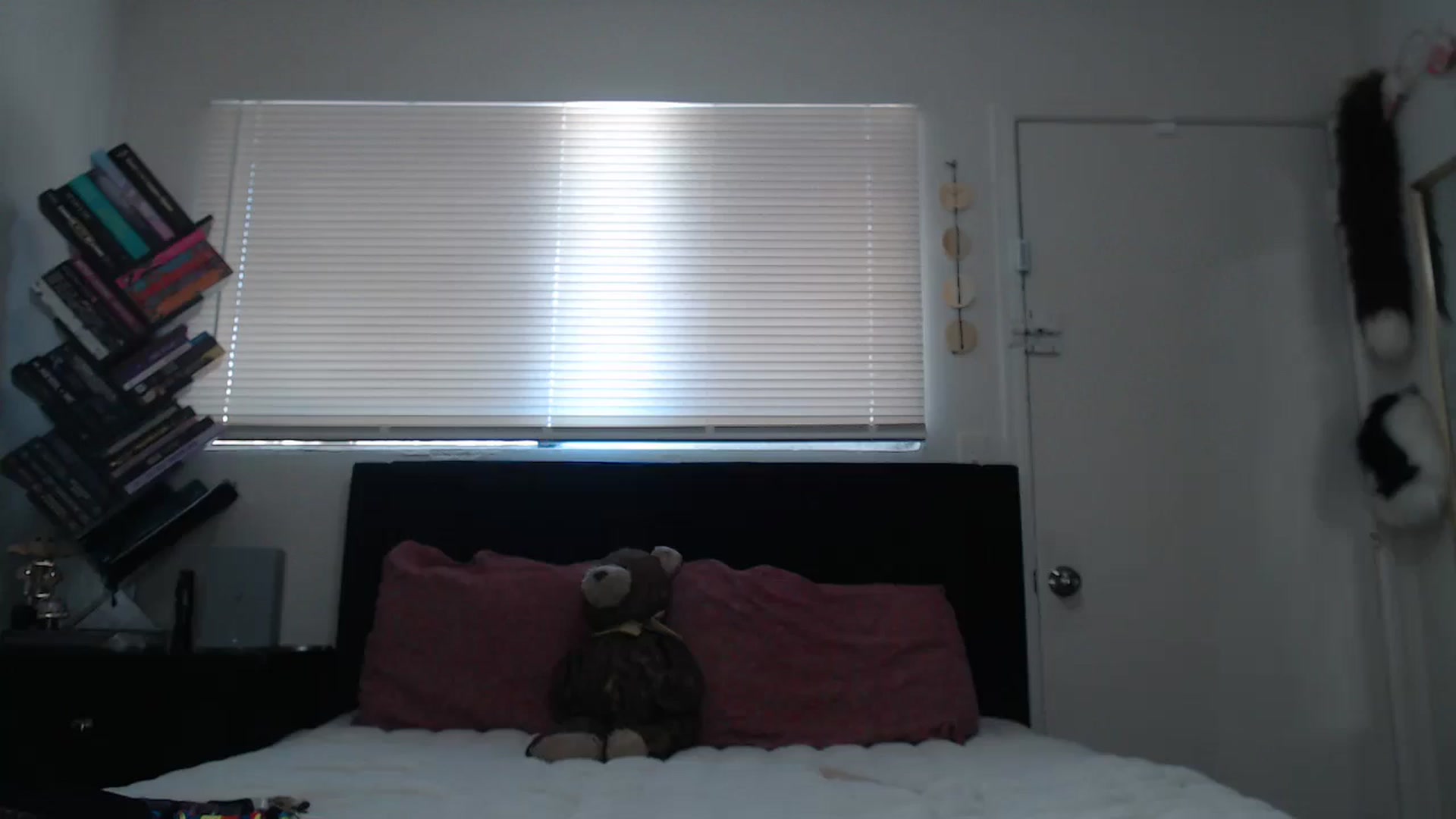 Gallery image thumbnail from MyMazikeen's myfreecams stream on, 05/28/2025, 19:45 image 10 of 20