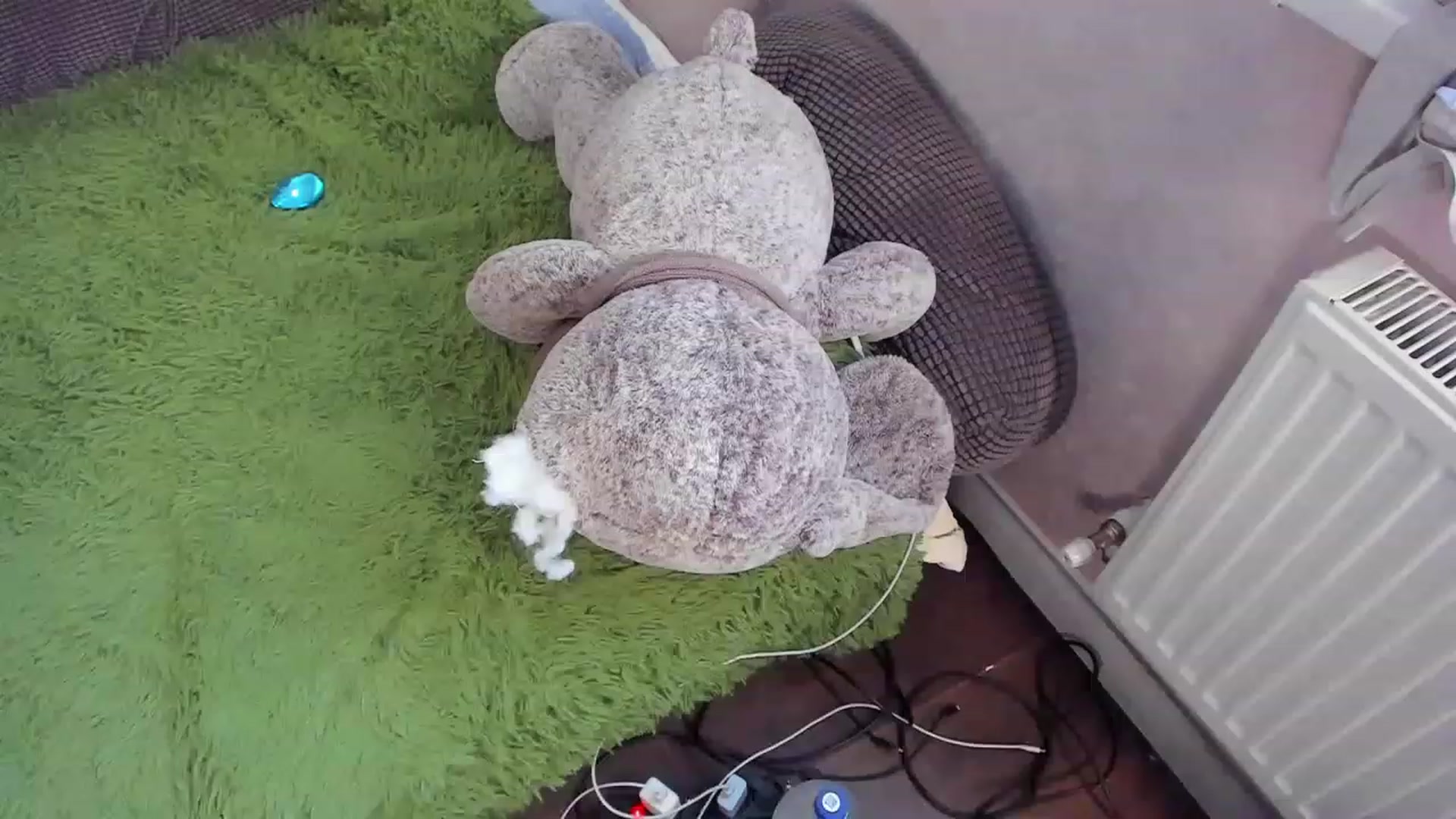 Gallery image thumbnail from MyPhoeniX's myfreecams stream on, 11/24/2022, 09:09 image 18 of 20