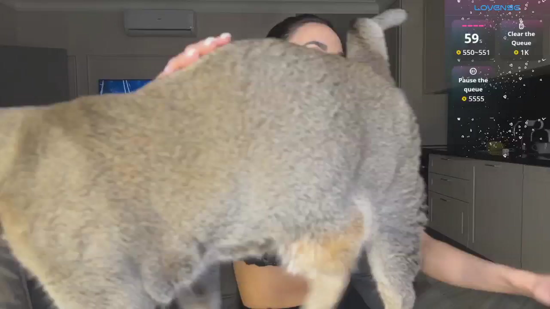 Gallery image thumbnail from MySexyQueen23's myfreecams stream on, 03/13/2026, 14:39 image 10 of 20