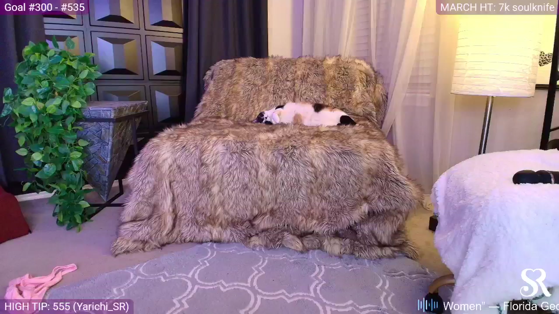 Gallery image thumbnail from MySkylarRaye's myfreecams stream on, 03/10/2025, 06:33 image 19 of 20