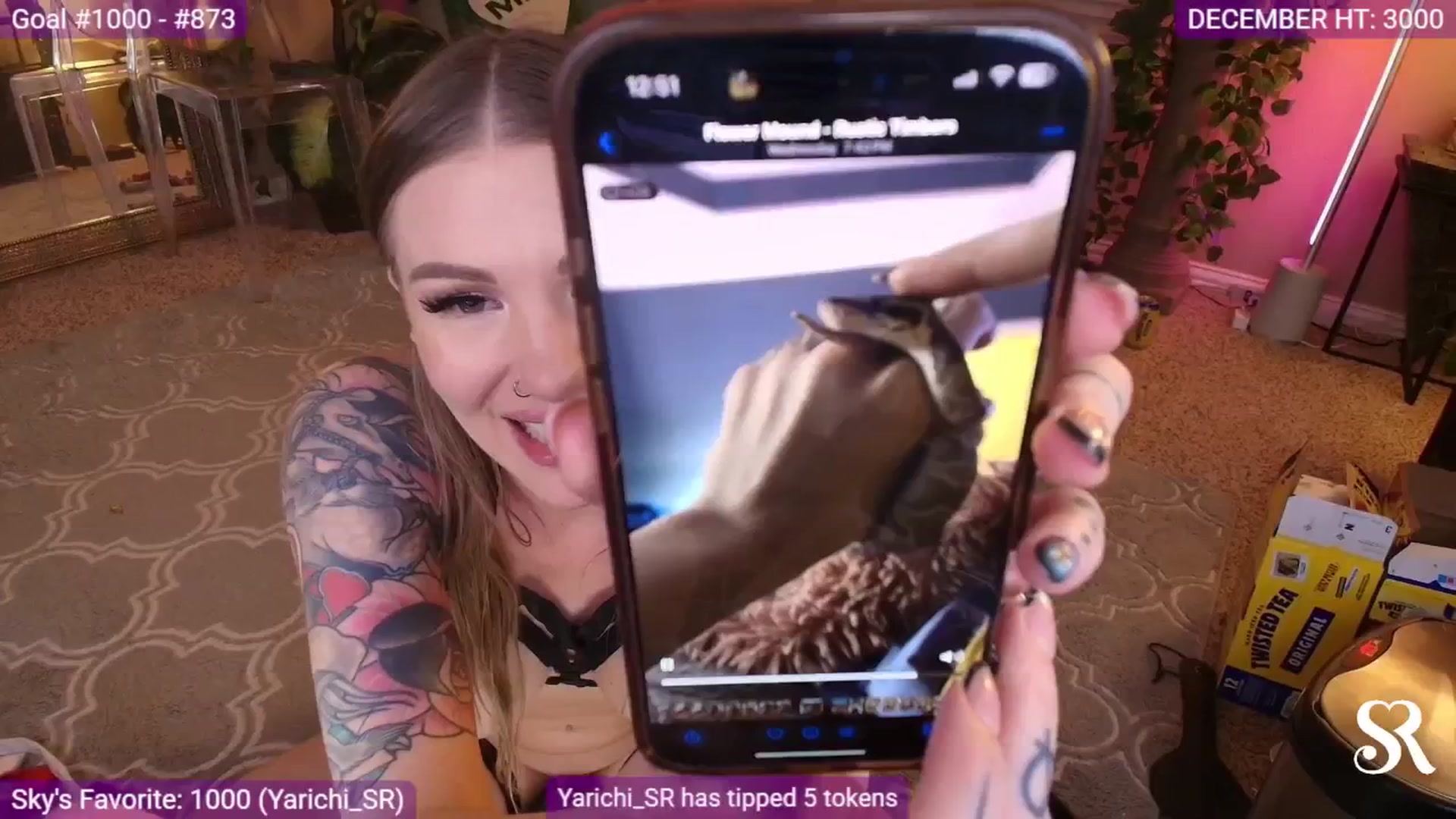 Gallery image thumbnail from MySkylarRaye's myfreecams stream on, 12/21/2025, 07:20 image 15 of 20