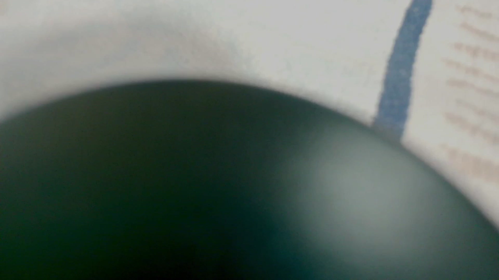 Gallery image thumbnail from MySoFtyGuNS's myfreecams stream on, 11/13/2025, 05:34 image 16 of 20
