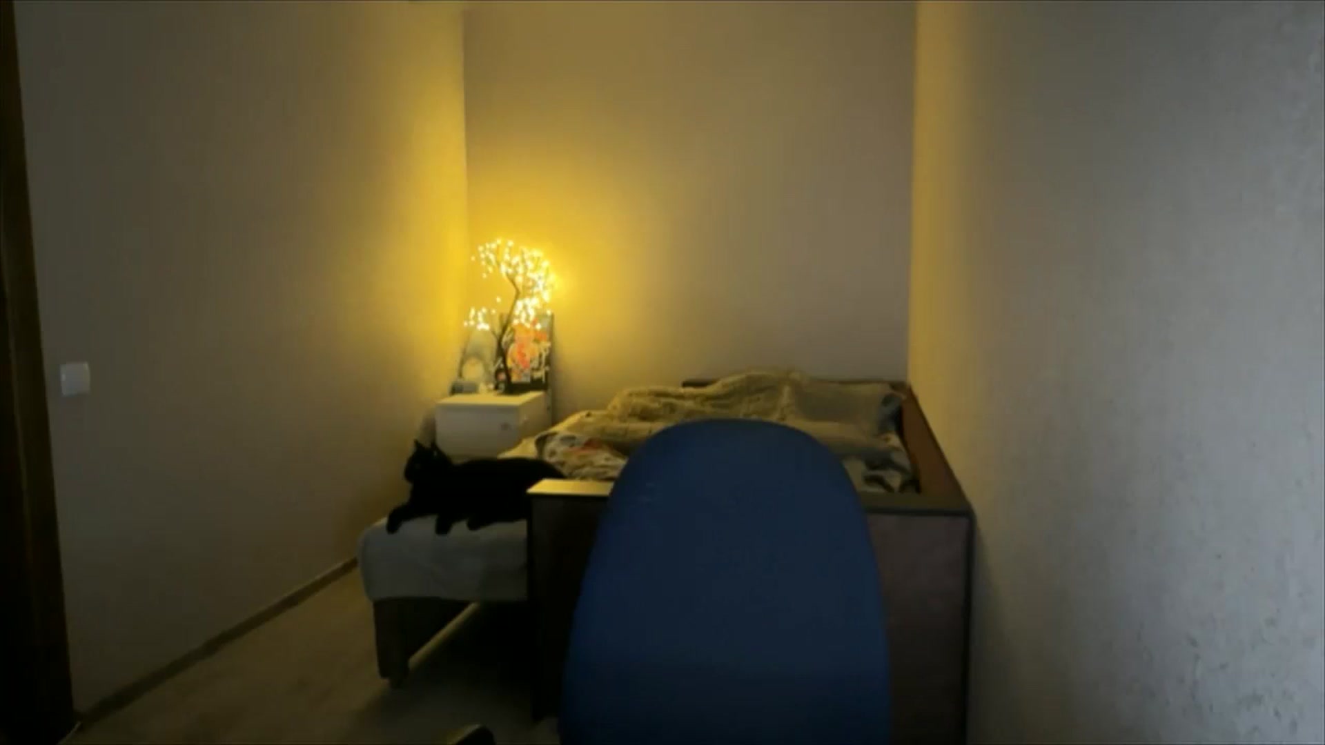 Gallery image thumbnail from My_Diana's myfreecams stream on, 09/18/2024, 19:22 image 6 of 20