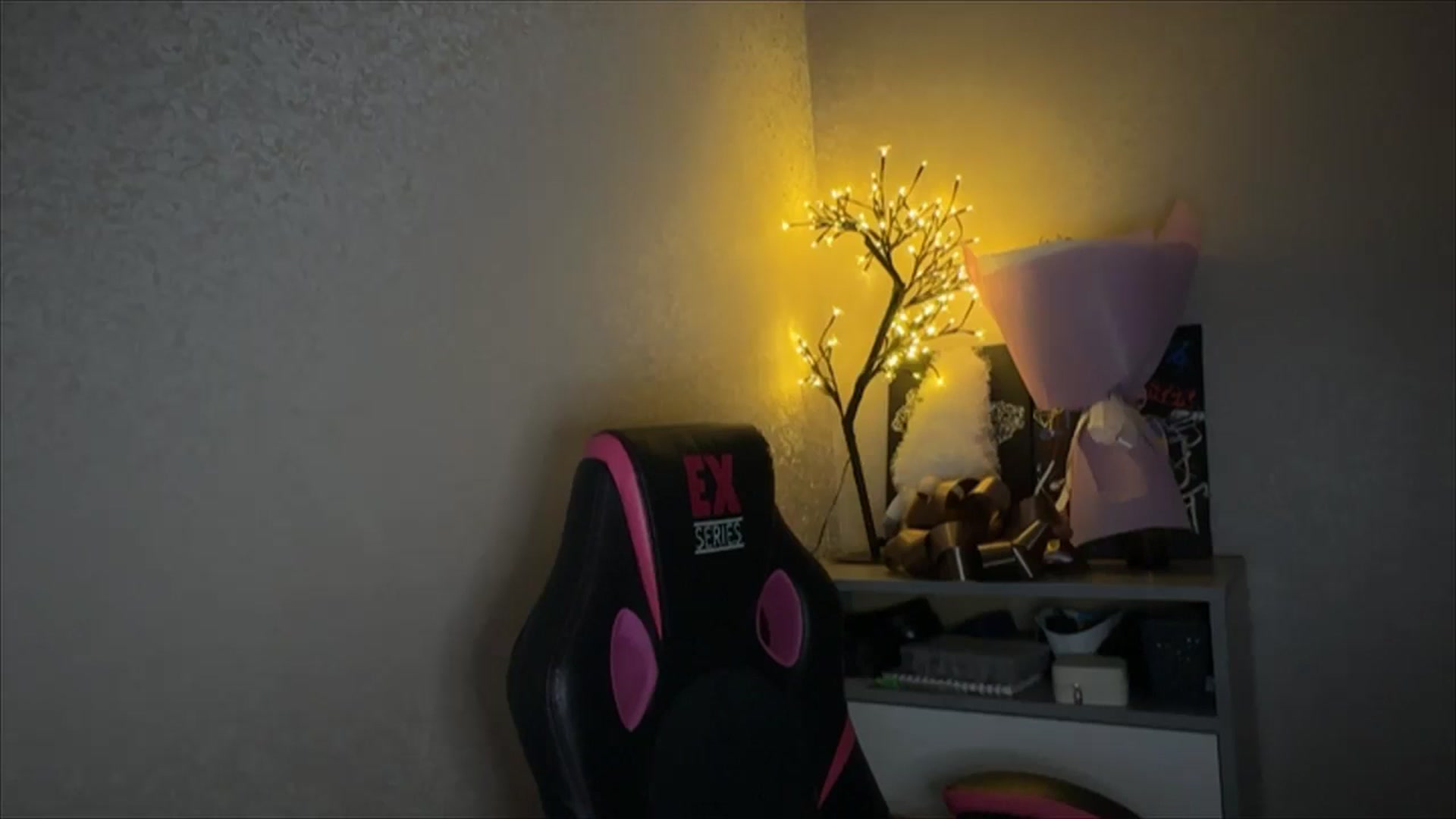Gallery image thumbnail from My_Diana's myfreecams stream on, 11/17/2024, 21:24 image 8 of 20