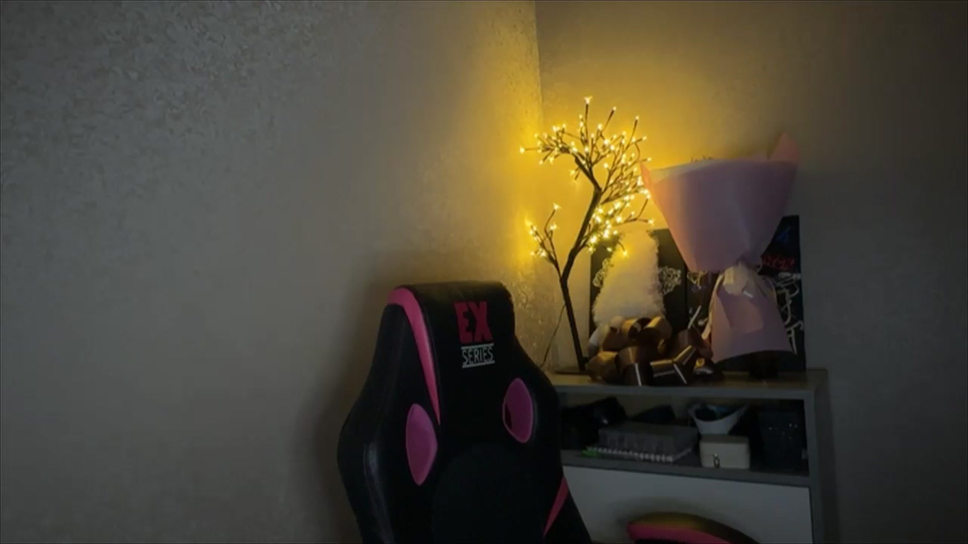 Gallery image thumbnail from My_Diana's myfreecams stream on, 11/17/2024, 21:24 image 9 of 20