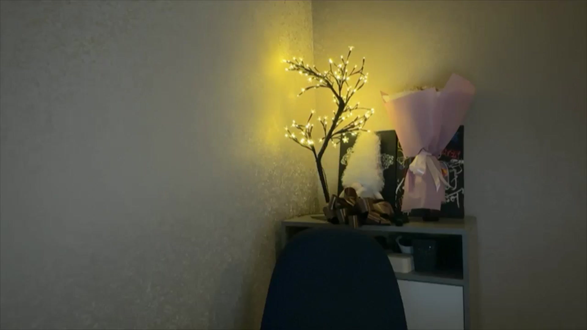 Gallery image thumbnail from My_Diana's myfreecams stream on, 11/21/2024, 15:39 image 12 of 20