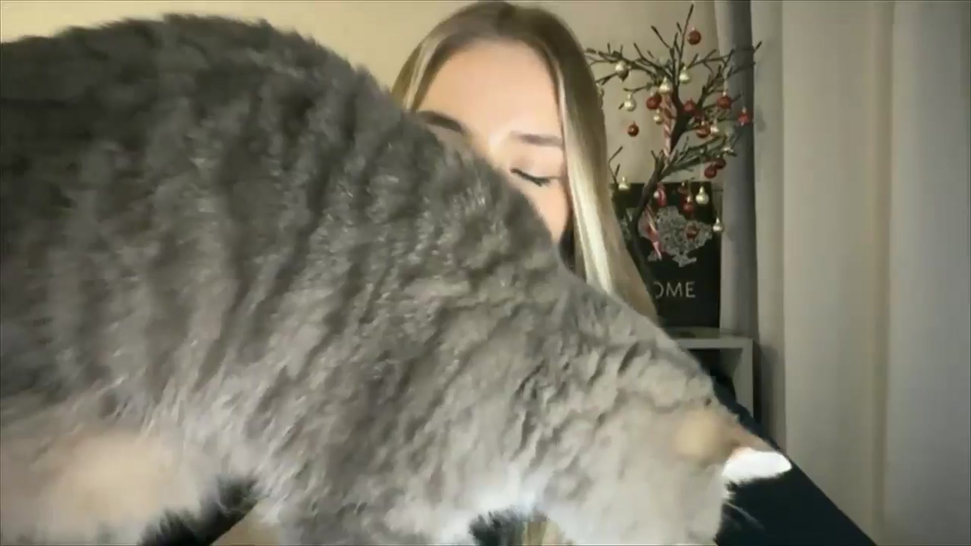 Gallery image thumbnail from My_Diana's myfreecams stream on, 12/26/2024, 22:35 image 16 of 20