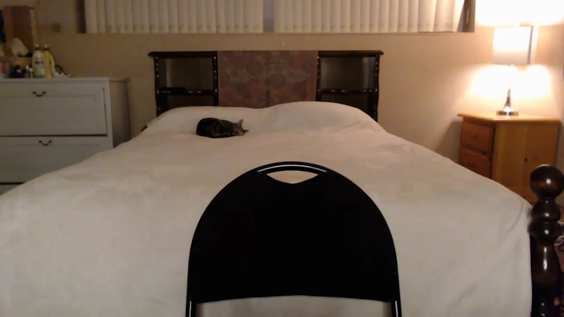 Gallery image thumbnail from MyaDelaney's myfreecams stream on, 12/10/2022, 04:02 image 20 of 20