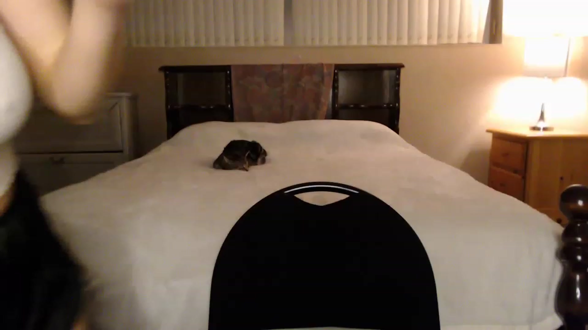 Gallery image thumbnail from MyaDelaney's myfreecams stream on, 01/19/2023, 05:03 image 20 of 20
