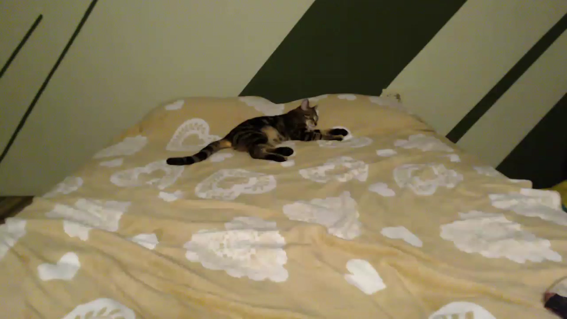 Gallery image thumbnail from MyaDelaney's myfreecams stream on, 03/18/2023, 02:57 image 6 of 20