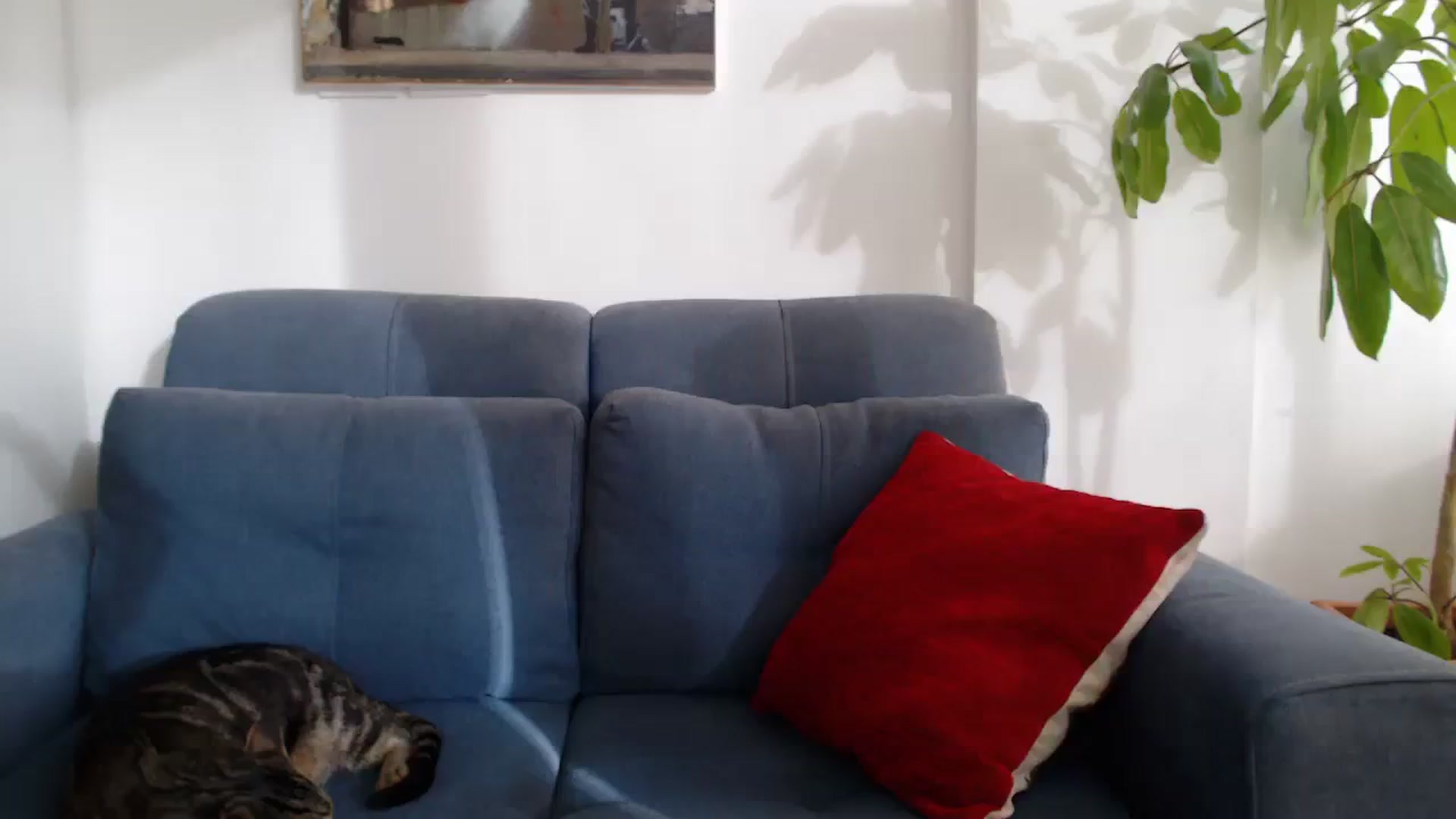 Gallery image thumbnail from MyaDelaney's myfreecams stream on, 07/29/2023, 22:37 image 10 of 20