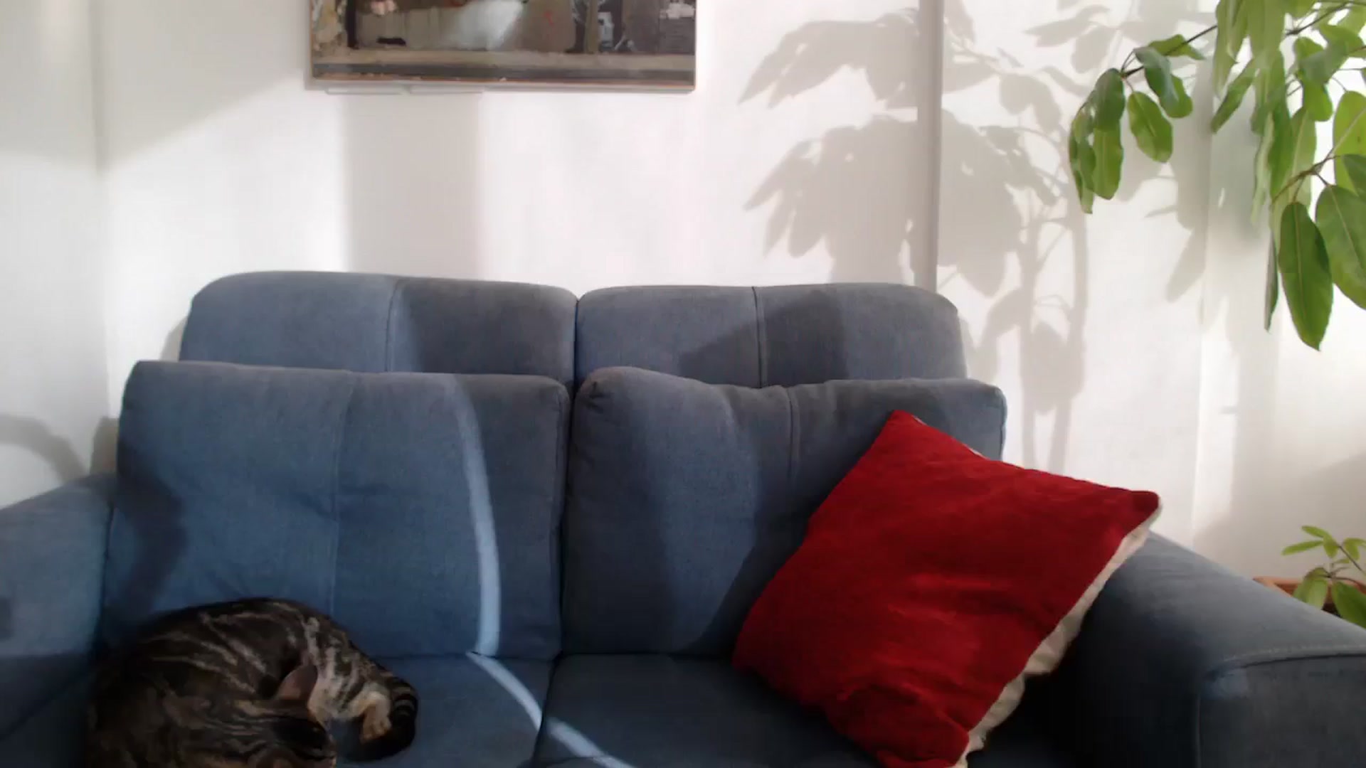 Gallery image thumbnail from MyaDelaney's myfreecams stream on, 07/29/2023, 22:37 image 7 of 20
