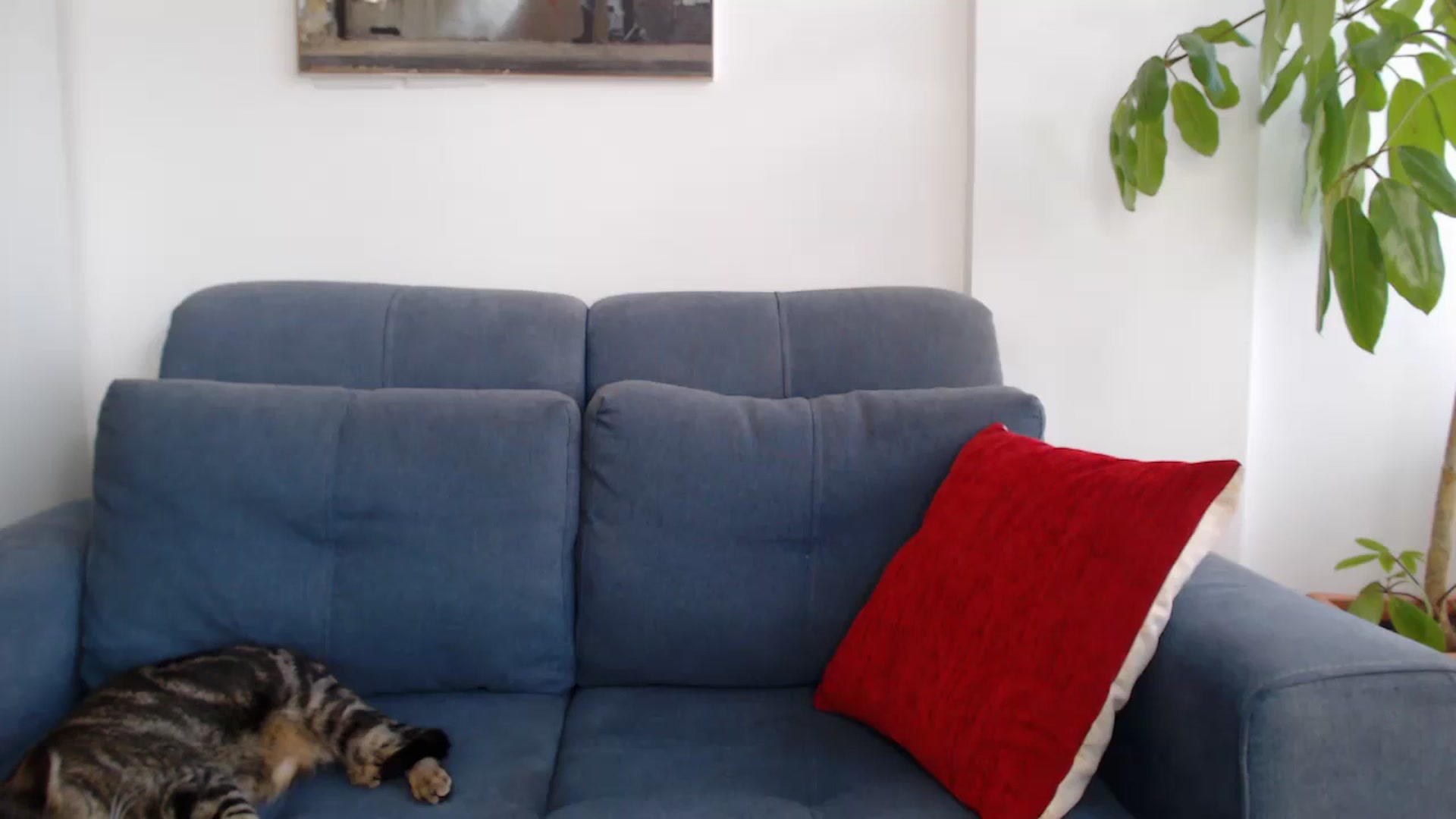 Gallery image thumbnail from MyaDelaney's myfreecams stream on, 07/29/2023, 22:37 image 14 of 20