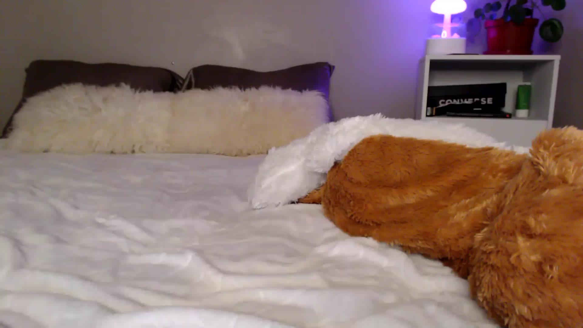Gallery image thumbnail from MyaDelaney's myfreecams stream on, 05/31/2024, 05:23 image 20 of 20