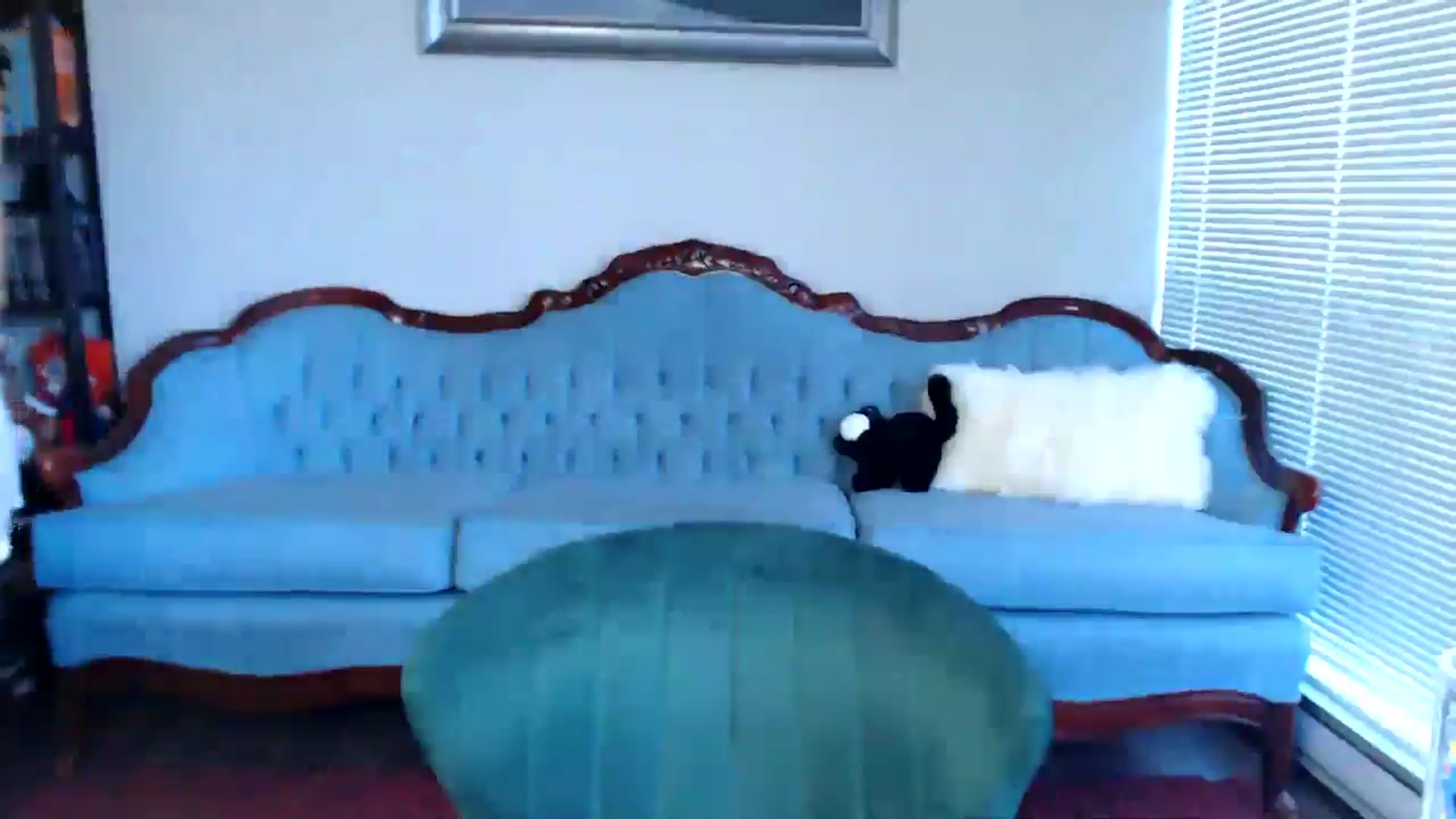 Gallery image thumbnail from MyaDelaney's myfreecams stream on, 08/26/2024, 03:12 image 10 of 20