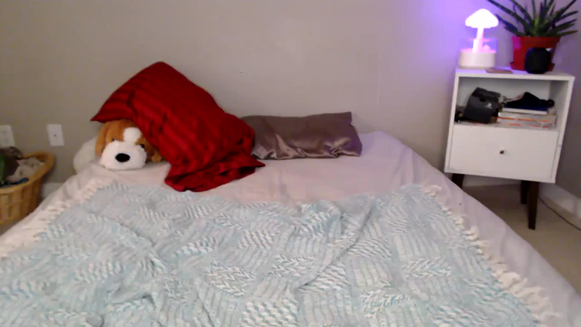 Gallery image thumbnail from MyaDelaney's myfreecams stream on, 08/30/2024, 03:56 image 4 of 20