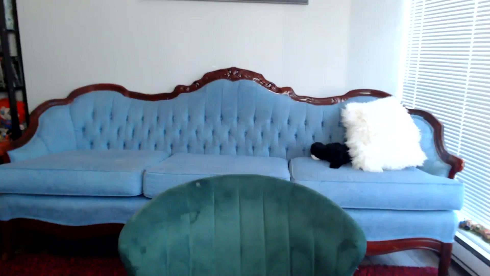 Gallery image thumbnail from MyaDelaney's myfreecams stream on, 09/28/2024, 01:43 image 2 of 20