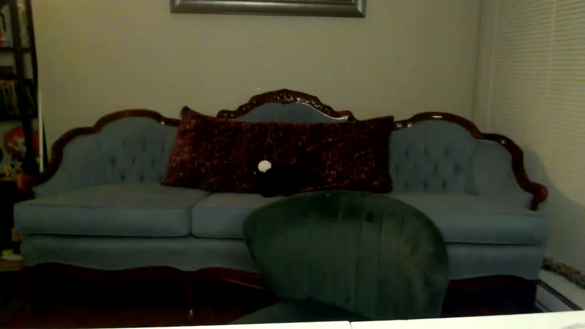 Gallery image thumbnail from MyaDelaney's myfreecams stream on, 11/16/2024, 05:01 image 20 of 20