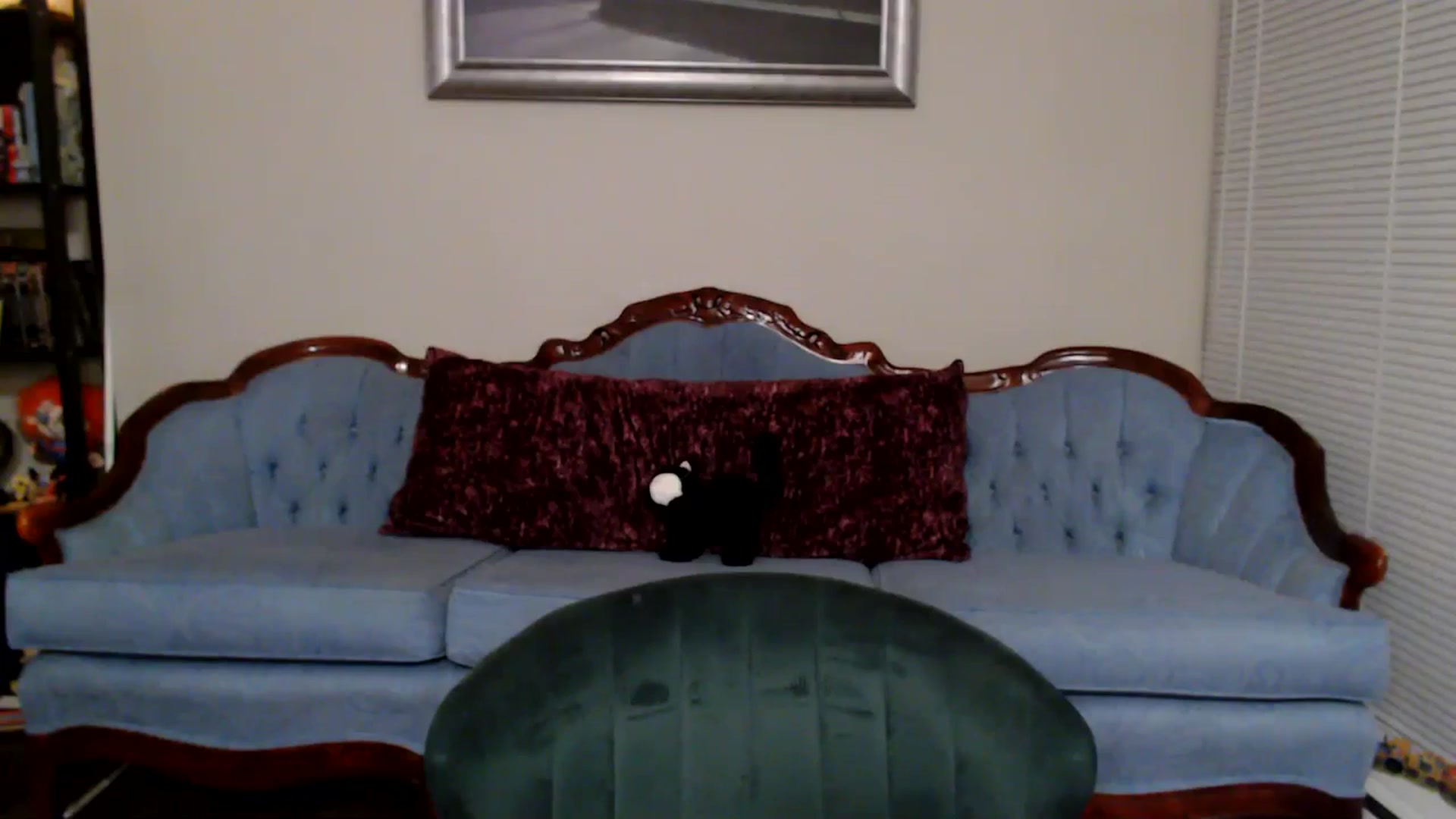 Gallery image thumbnail from MyaDelaney's myfreecams stream on, 11/30/2024, 07:27 image 7 of 20