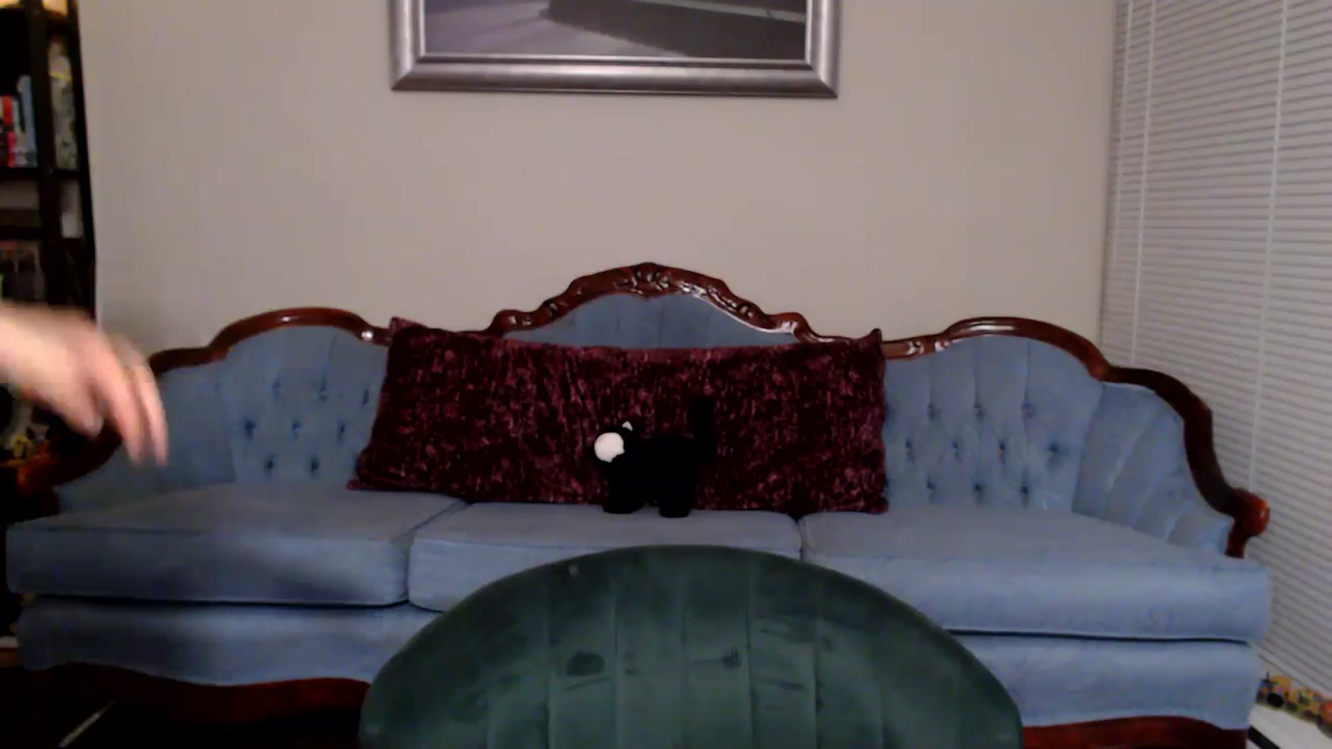 Gallery image thumbnail from MyaDelaney's myfreecams stream on, 11/30/2024, 07:27 image 5 of 20