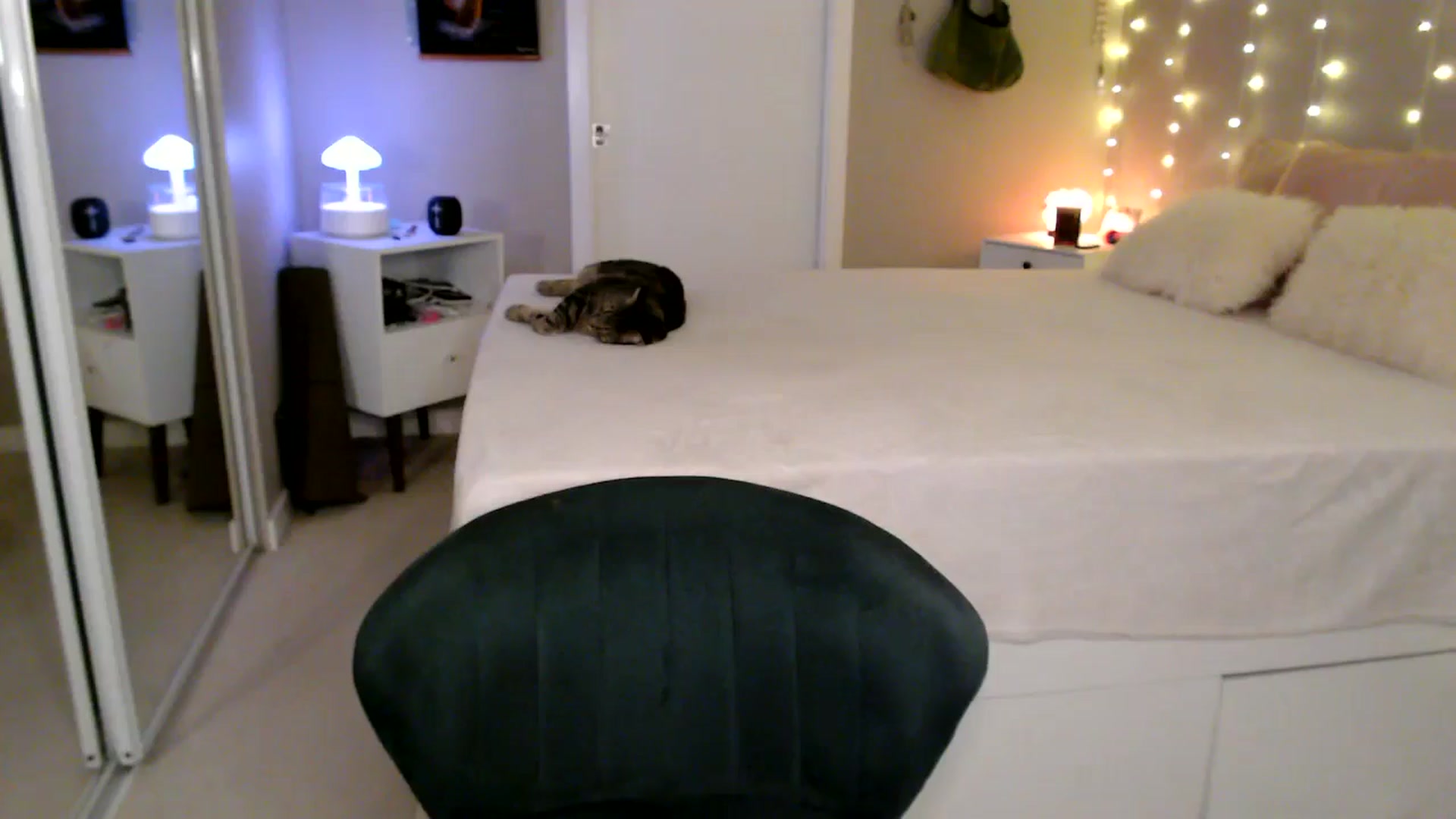Gallery image thumbnail from MyaDelaney's myfreecams stream on, 01/31/2026, 09:04 image 8 of 20