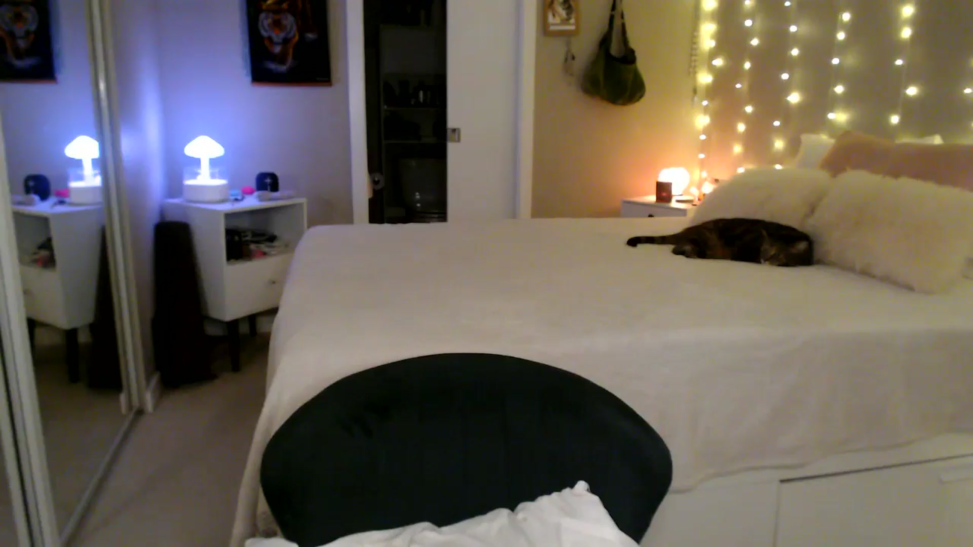 Gallery image thumbnail from MyaDelaney's myfreecams stream on, 02/04/2026, 04:00 image 2 of 20