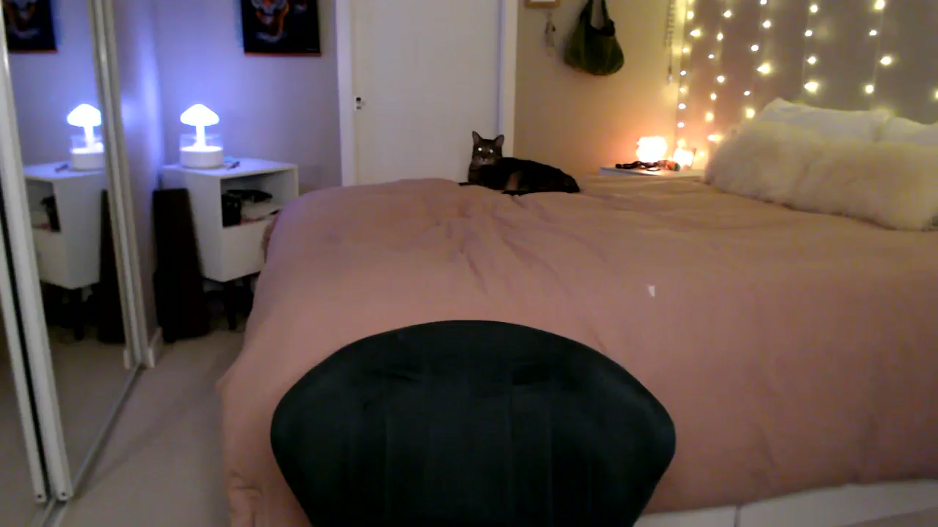 Gallery image thumbnail from MyaDelaney's myfreecams stream on, 02/22/2026, 07:20 image 13 of 20