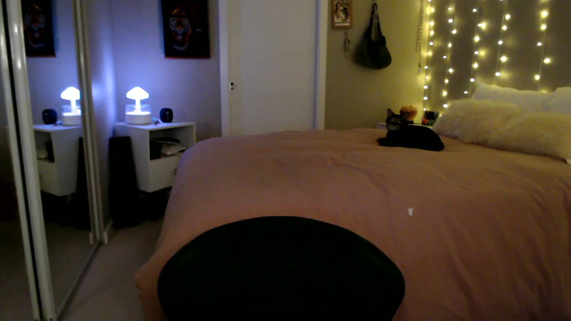 Gallery image thumbnail from MyaDelaney's myfreecams stream on, 02/26/2026, 04:42 image 2 of 20