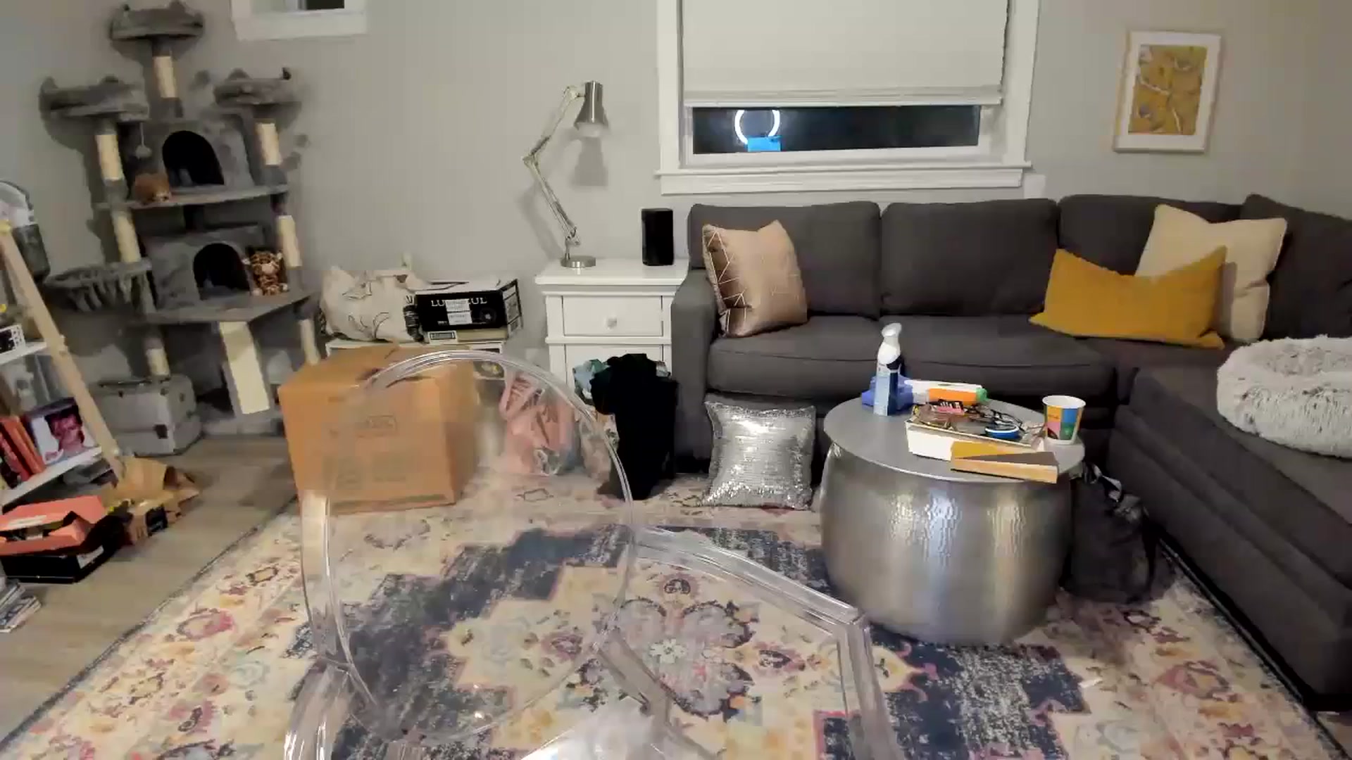 Gallery image thumbnail from Mya_Heart's myfreecams stream on, 12/27/2023, 06:44 image 9 of 20