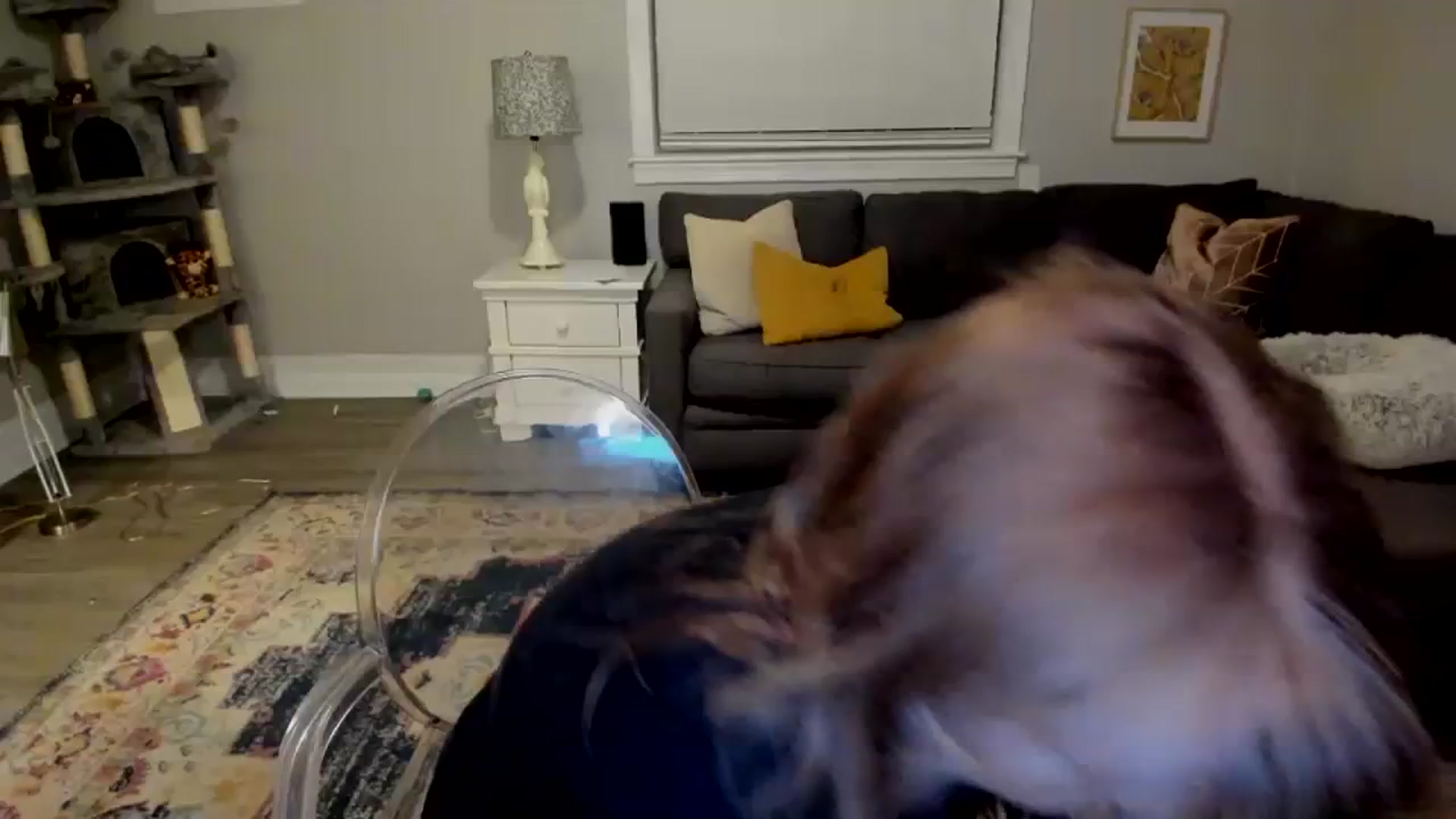 Gallery image thumbnail from Mya_Heart's myfreecams stream on, 02/26/2024, 05:27 image 8 of 20