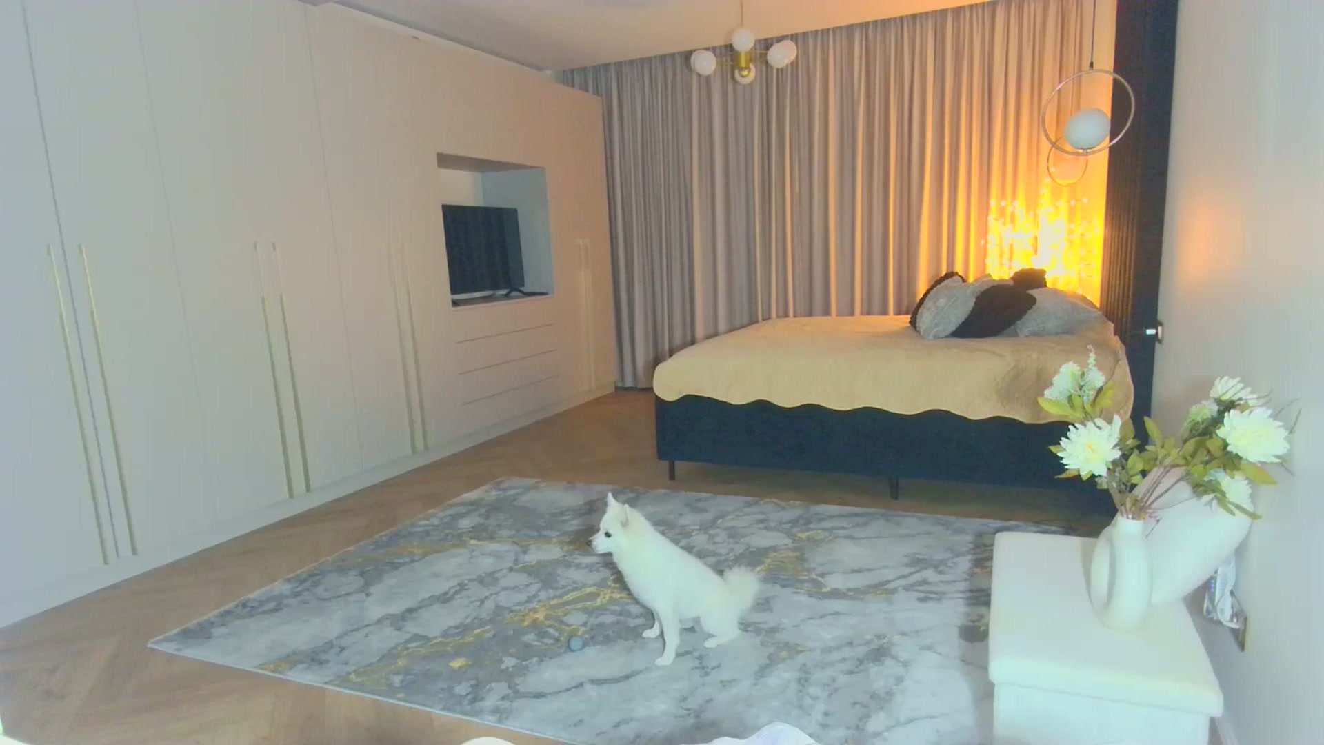 Gallery image thumbnail from Mystery_C's myfreecams stream on, 09/10/2025, 21:05 image 2 of 20