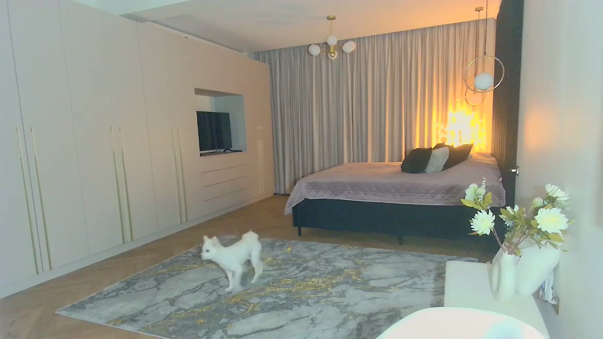 Gallery image thumbnail from Mystery_C's myfreecams stream on, 10/29/2025, 22:20 image 16 of 20