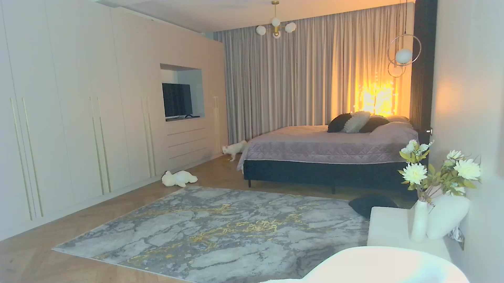 Gallery image thumbnail from Mystery_C's myfreecams stream on, 12/02/2025, 23:04 image 1 of 20