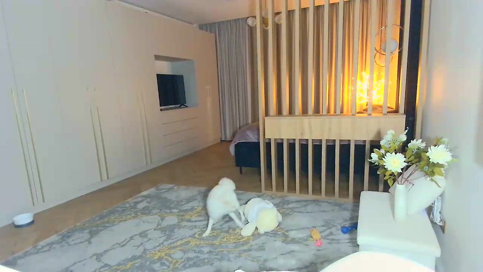 Gallery image thumbnail from Mystery_C's myfreecams stream on, 08/13/2026, 21:41 image 6 of 20