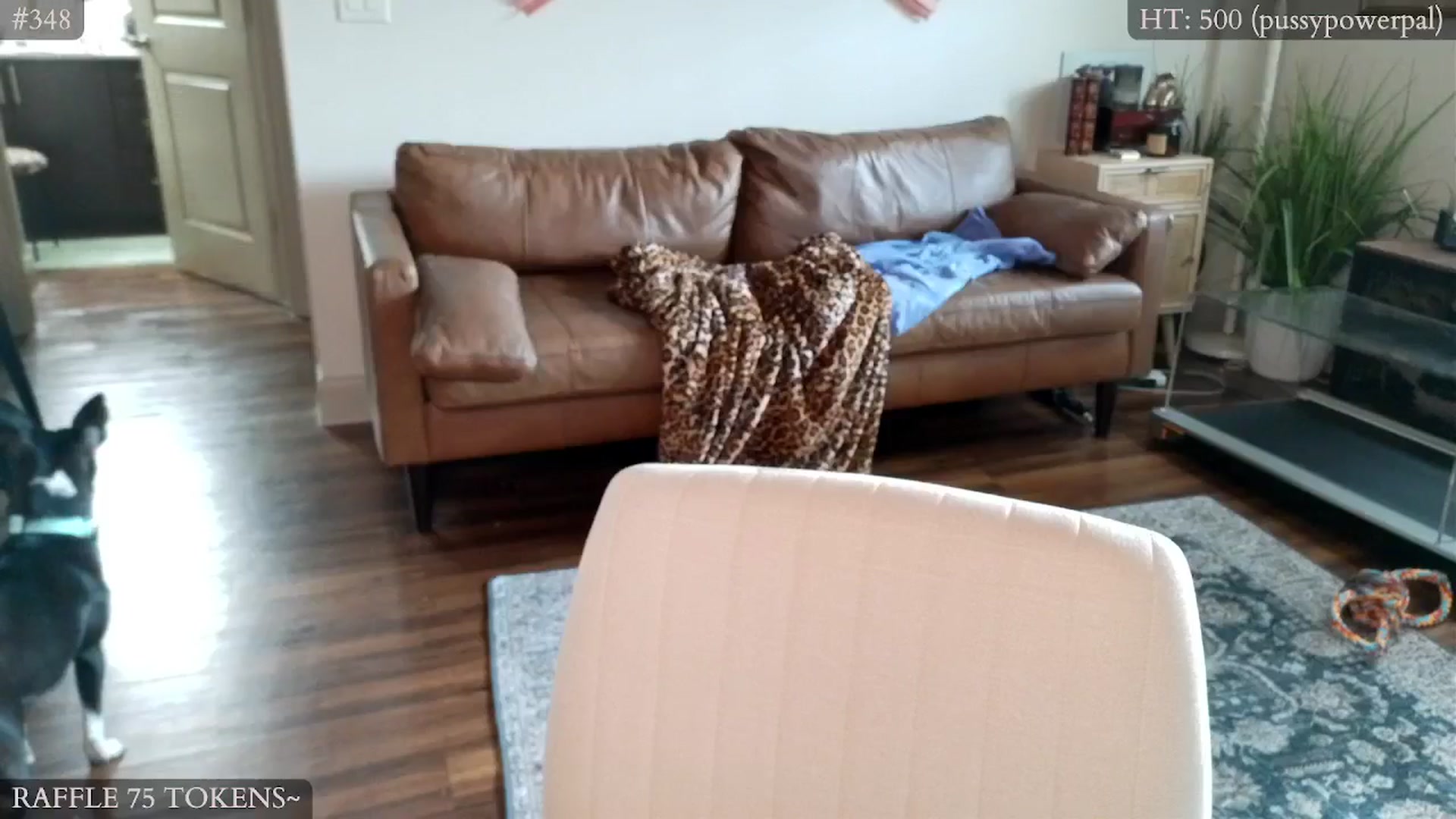 Gallery image thumbnail from Mystywaterz's myfreecams stream on, 09/23/2024, 23:04 image 17 of 20