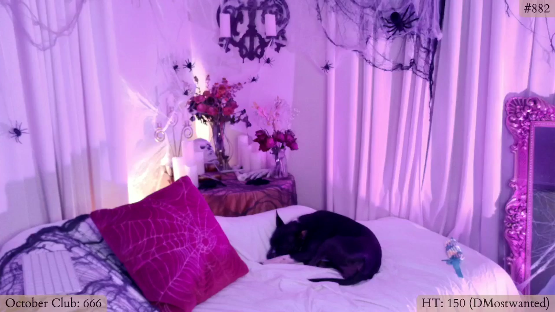 Gallery image thumbnail from Mystywaterz's myfreecams stream on, 10/14/2024, 08:44 image 10 of 20