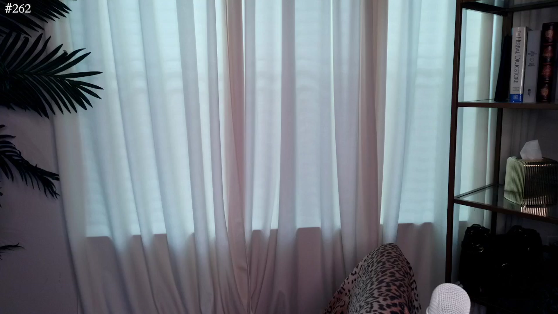 Gallery image thumbnail from Mystywaterz's myfreecams stream on, 11/08/2024, 19:37 image 18 of 20