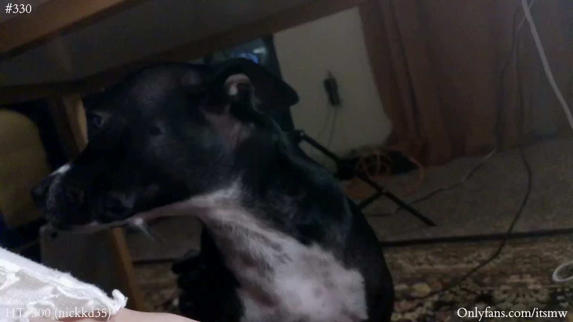 Gallery image thumbnail from Mystywaterz's myfreecams stream on, 11/28/2024, 07:39 image 20 of 20
