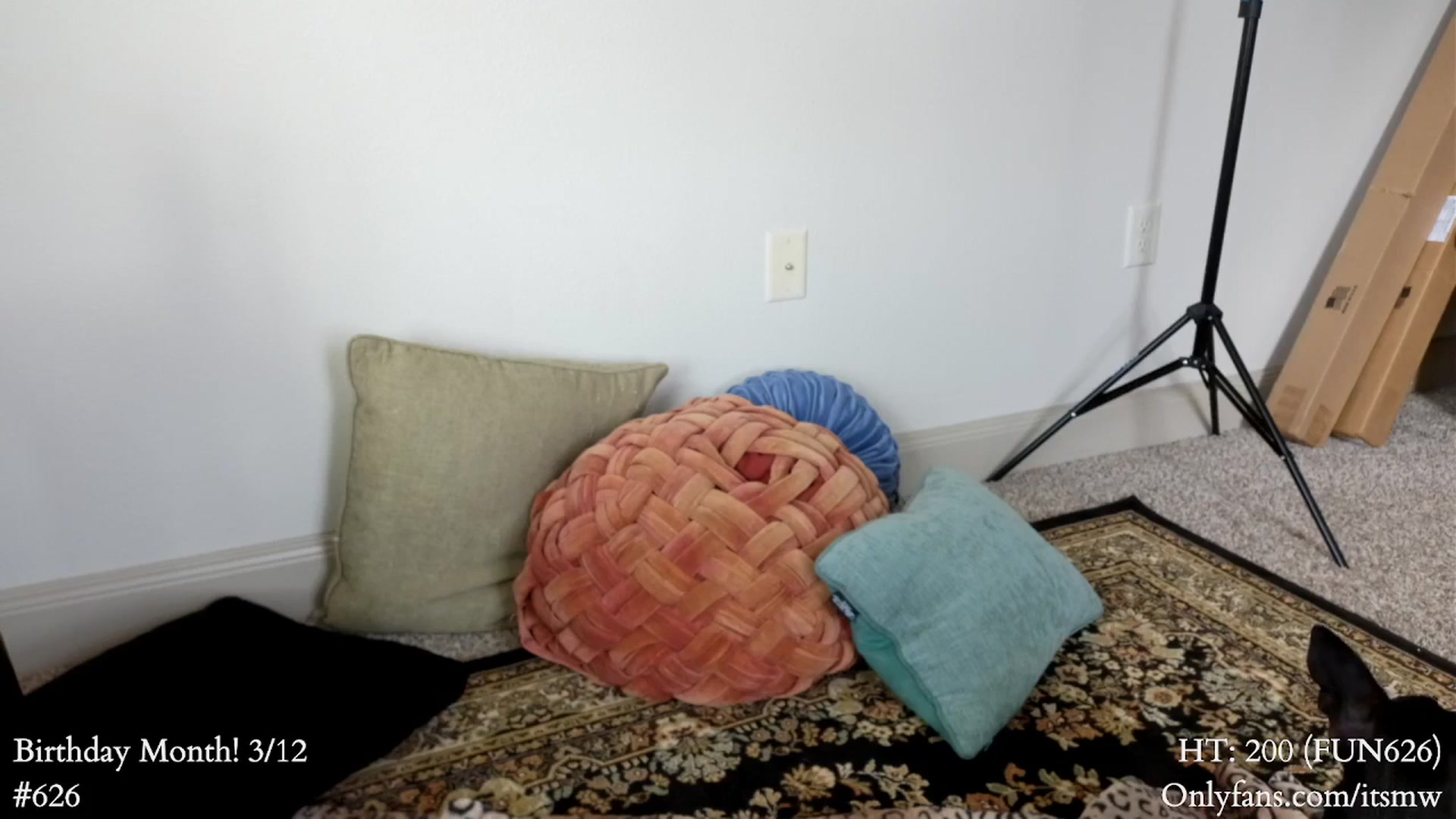 Gallery image thumbnail from Mystywaterz's myfreecams stream on, 03/08/2025, 21:10 image 19 of 20