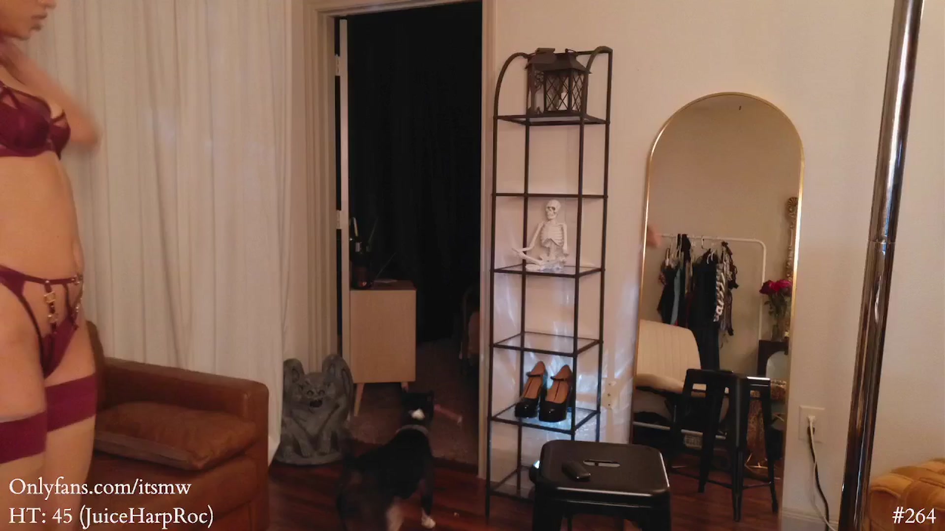Gallery image thumbnail from Mystywaterz's myfreecams stream on, 03/28/2025, 24:45 image 14 of 20