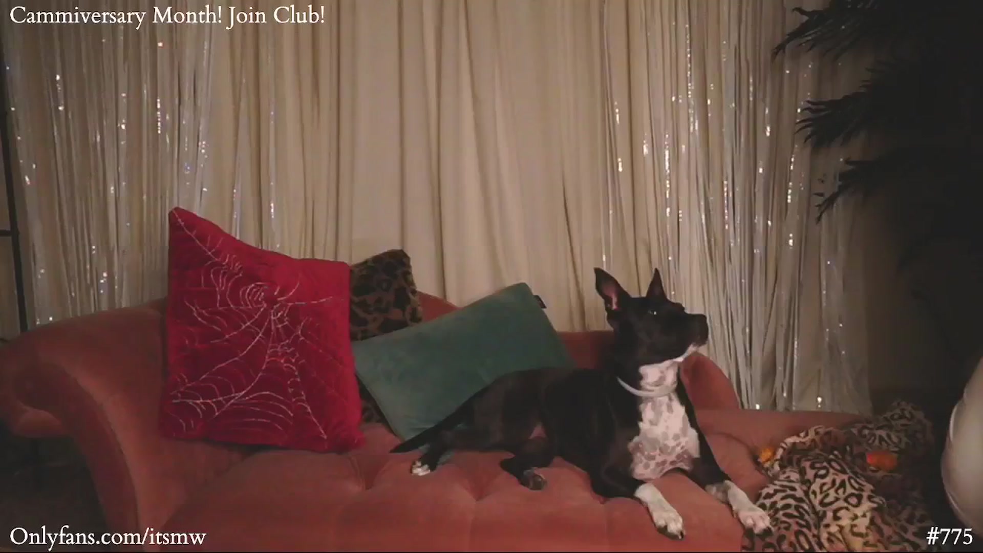 Gallery image thumbnail from Mystywaterz's myfreecams stream on, 07/31/2025, 09:51 image 7 of 20