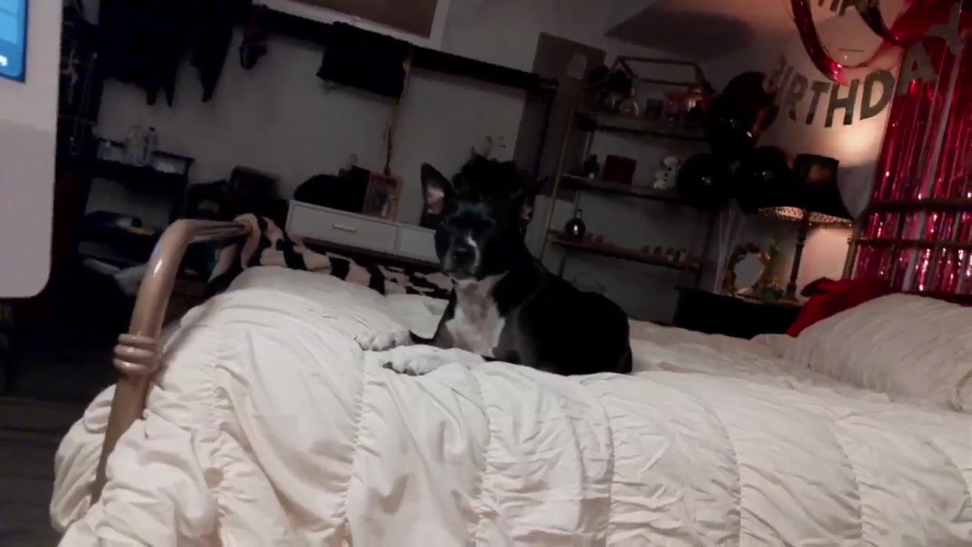 Gallery image thumbnail from Mystywaterz's myfreecams stream on, 03/15/2026, 01:12 image 8 of 20