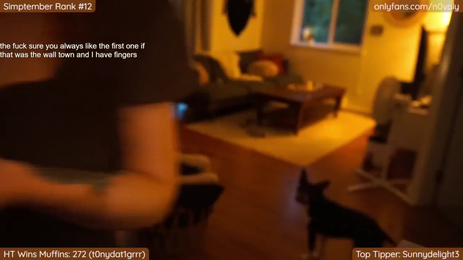 Gallery image thumbnail from N0valy's myfreecams stream on, 09/23/2024, 02:25 image 17 of 20