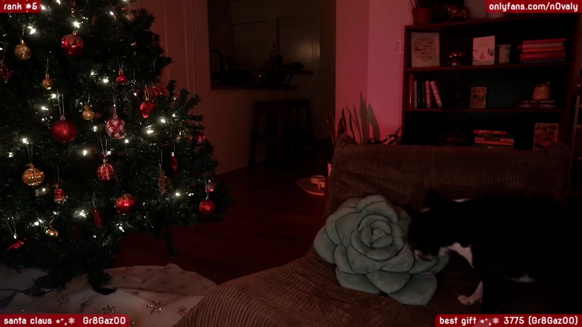 Gallery image thumbnail from N0valy's myfreecams stream on, 12/06/2025, 09:09 image 14 of 20