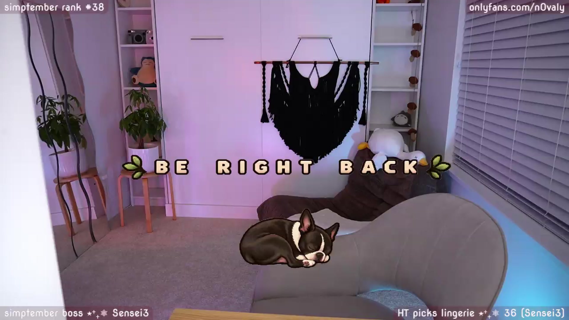 Gallery image thumbnail from N0valy's myfreecams stream on, 09/03/2026, 07:10 image 5 of 20