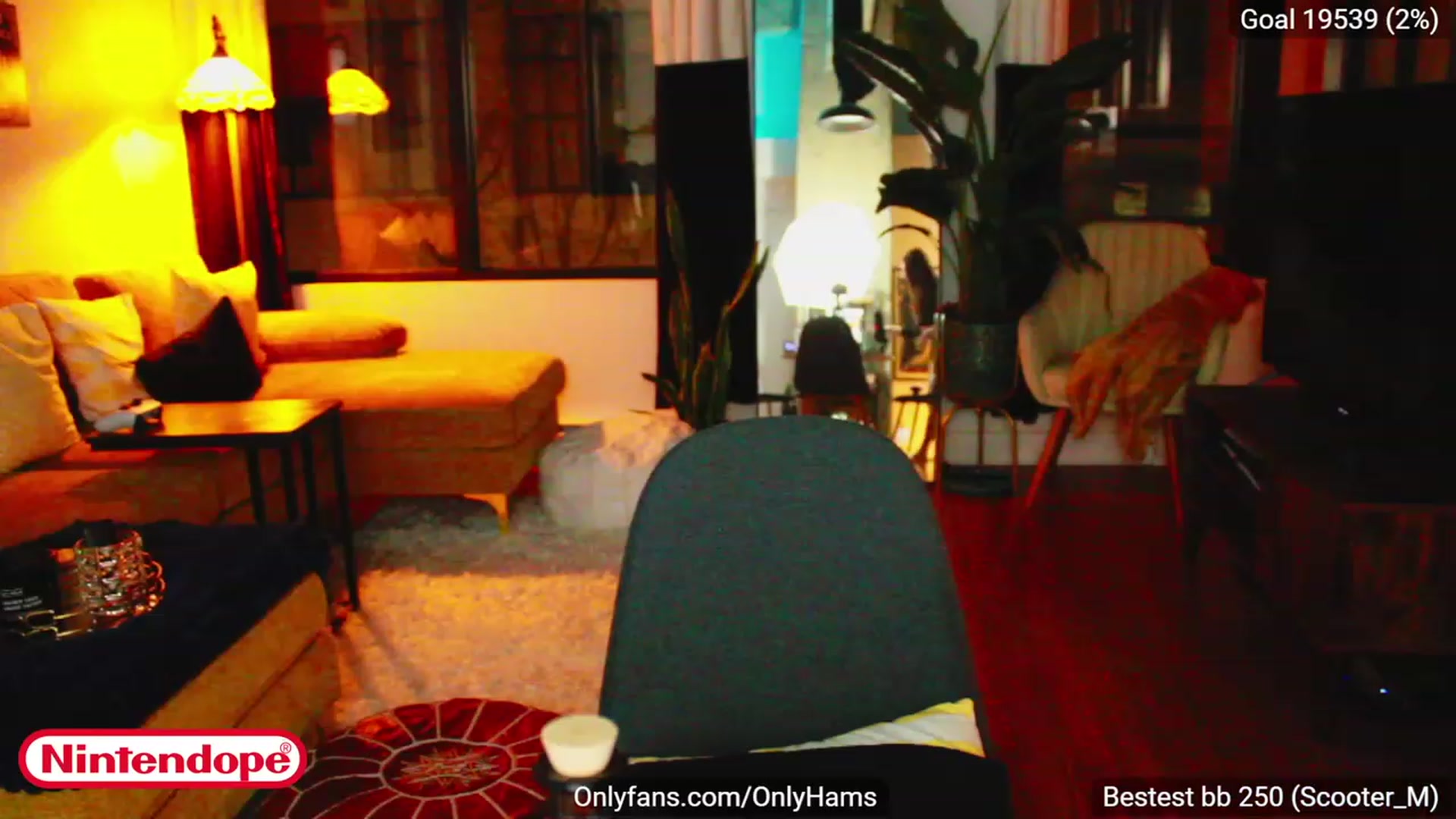 Gallery image thumbnail from NINTEND0PE's myfreecams stream on, 12/12/2022, 04:07 image 8 of 20